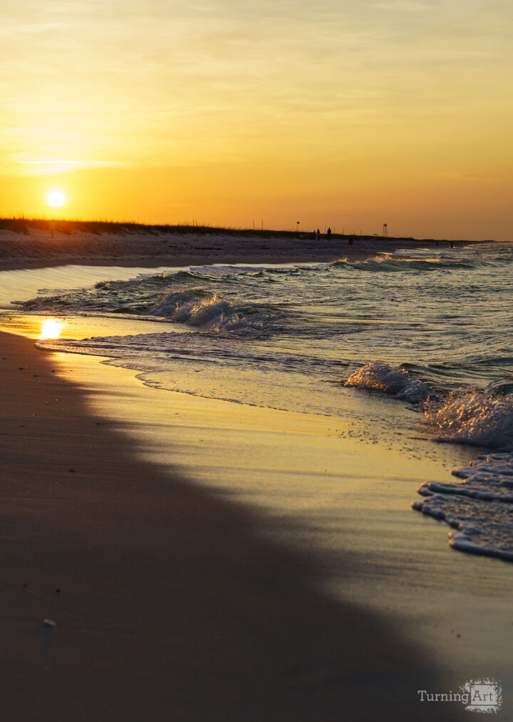 Gulf Coast Golden Coastline Waves