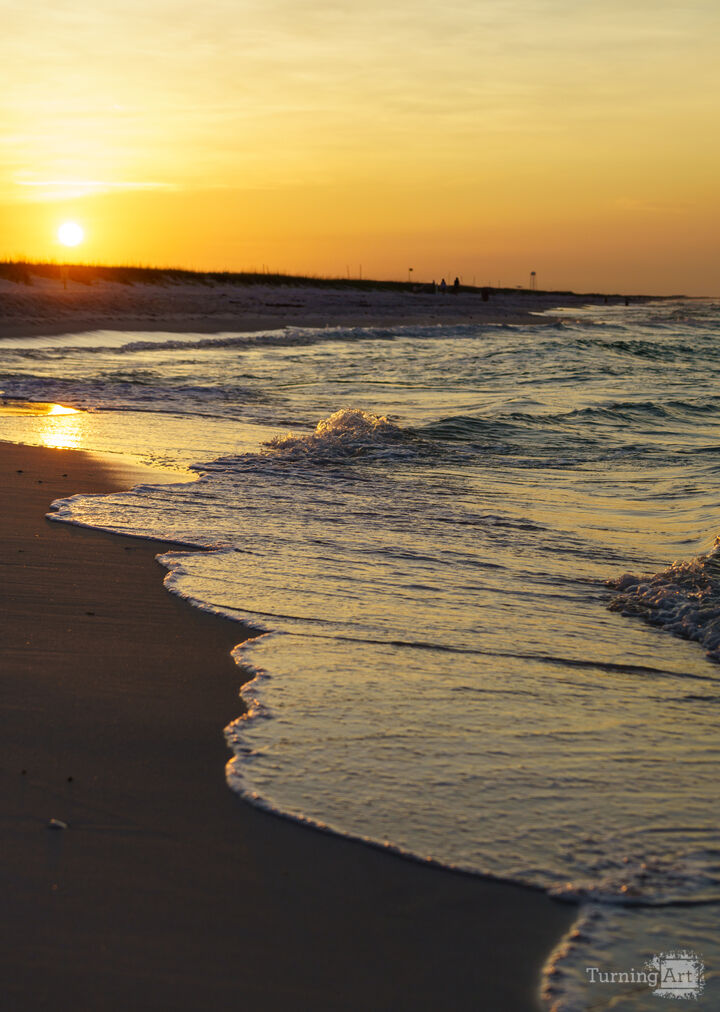 Gulf Coast Golden Waves Shoreline