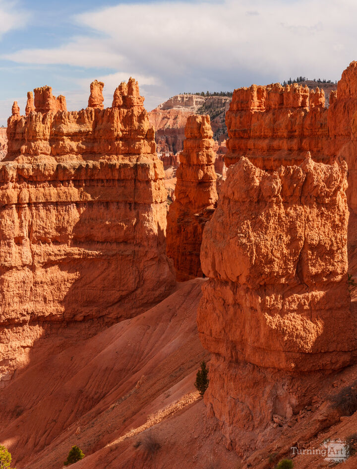 Sunset Point Hoodoos Vertical