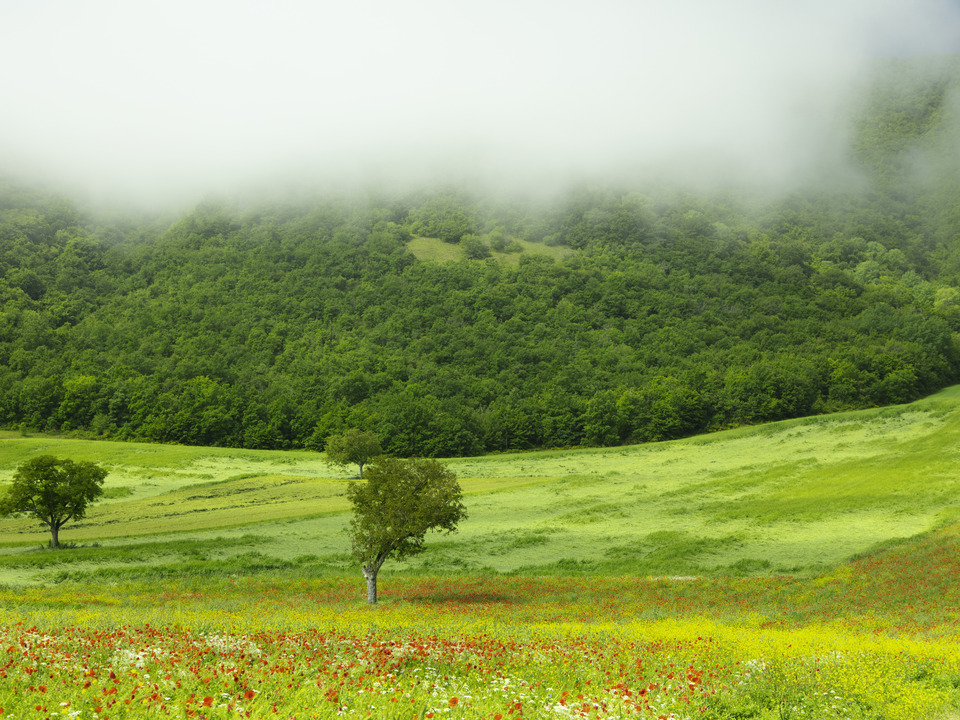 Beautiful fields in Italy, Umbria