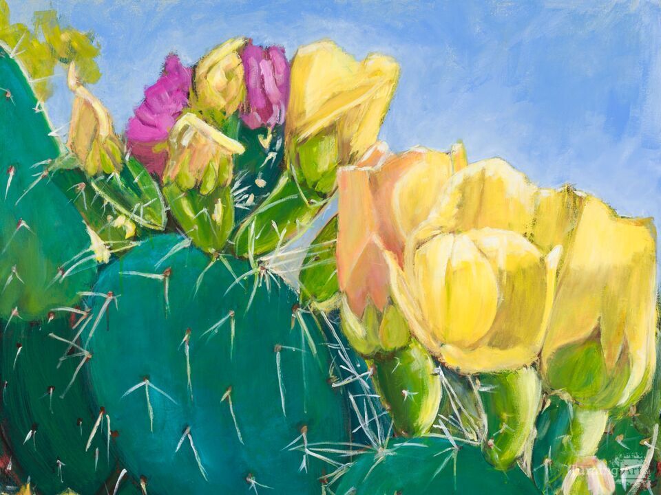 Prickly Pear Cactus Flower