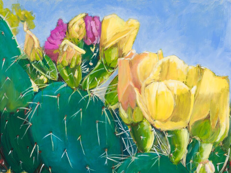 Prickly Pear Cactus Flower