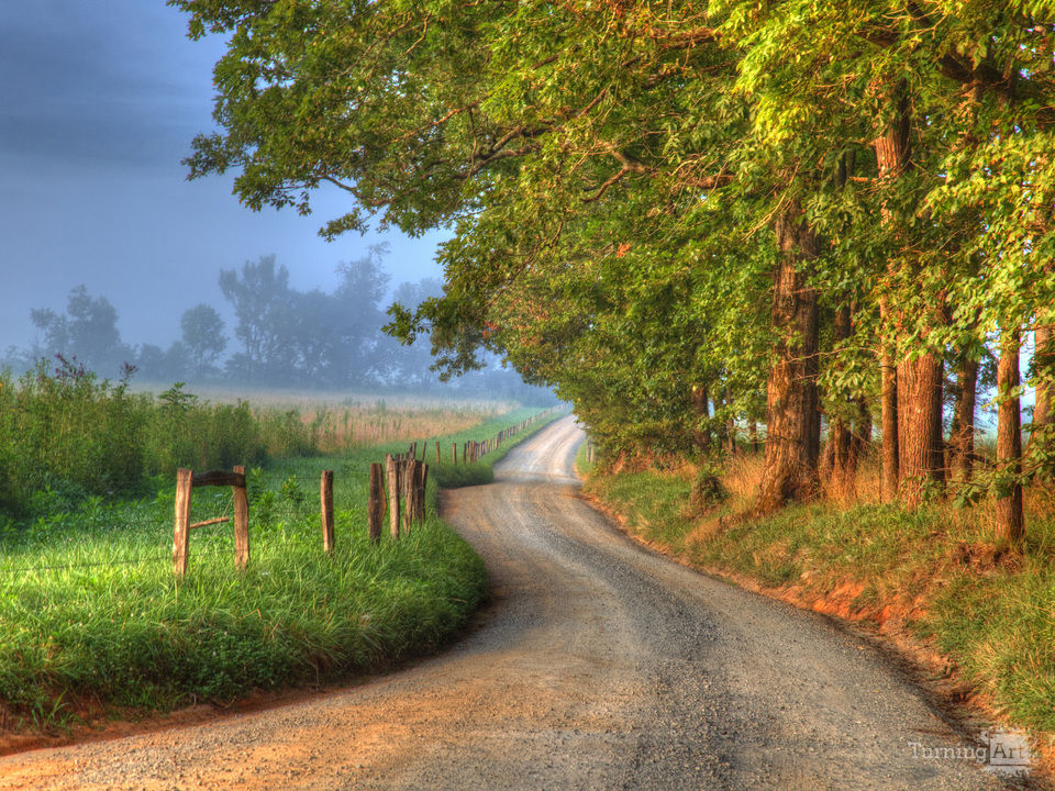 Backroad Morning
