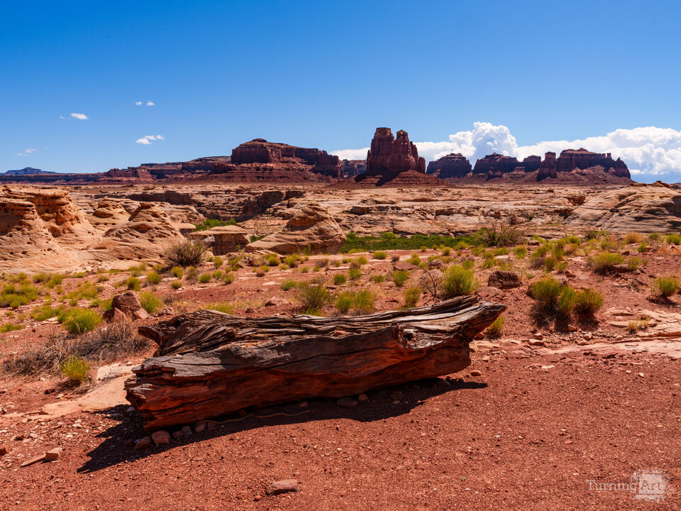 Utah Wilderness Log And Buttes