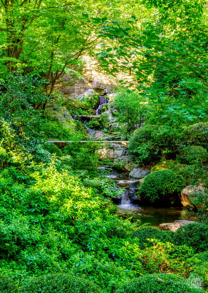 Hot Springs Woodlands Waterfall