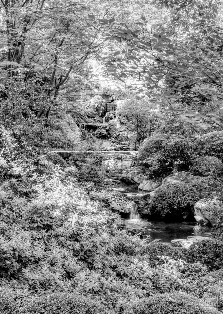 Hot Springs Woodlands Waterfall Grayscale