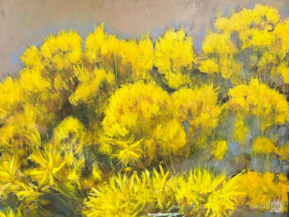 Yellow Rabbitbrush