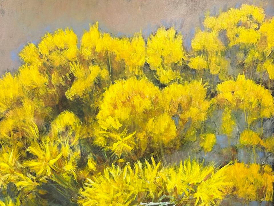 Yellow Rabbitbrush