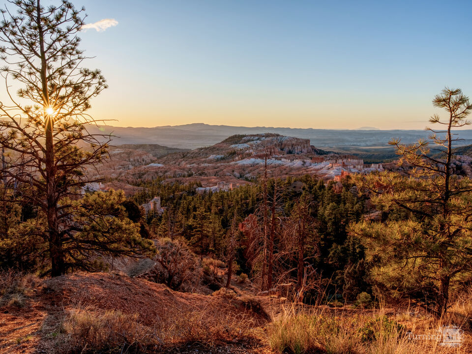 Golden Bryce Canyon Sunrise