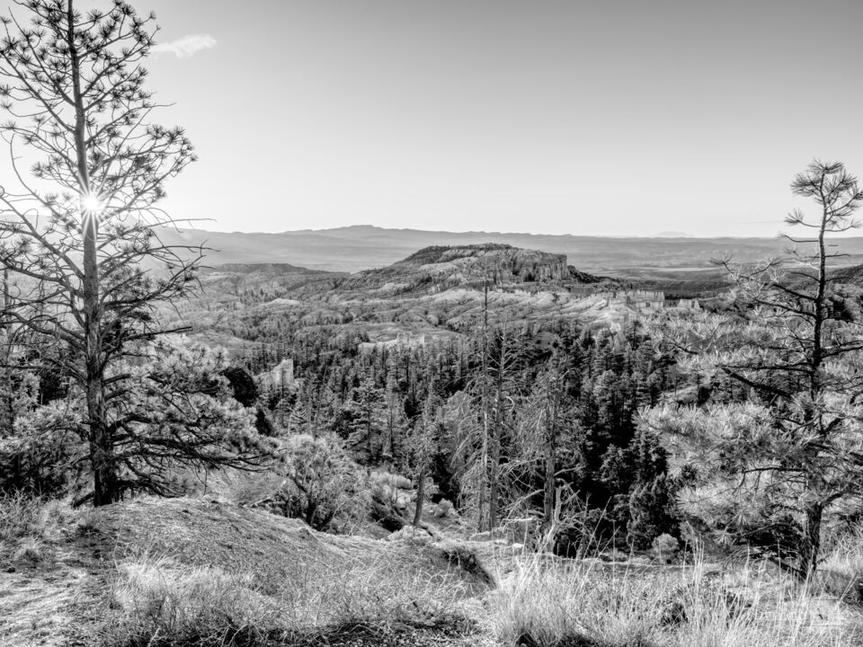 Bryce Canyon Sunrise Grayscale