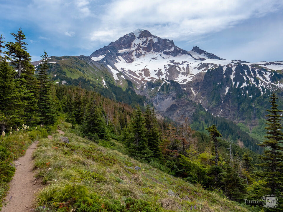 Mt. Hood