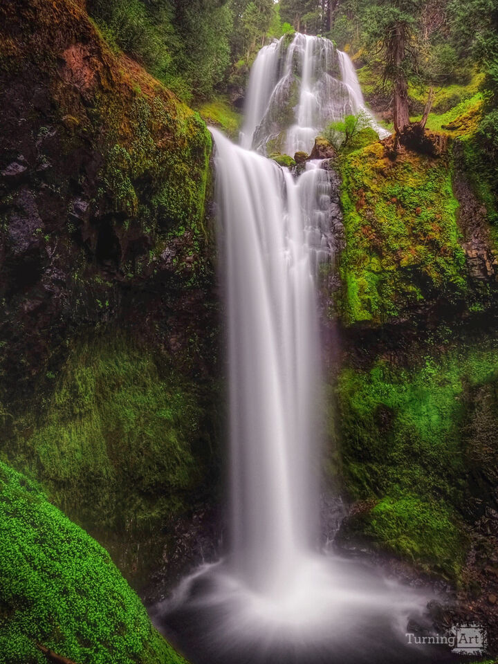 Falls Creek Falls