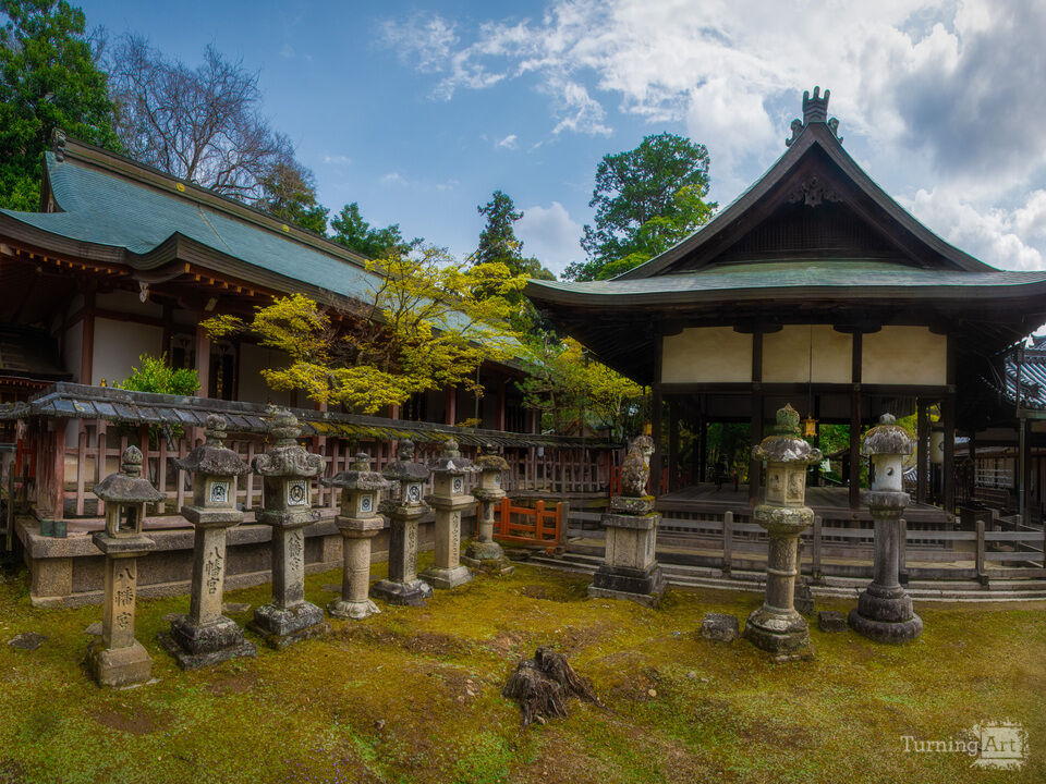 Stone Lanterns at Kasuga-taisha