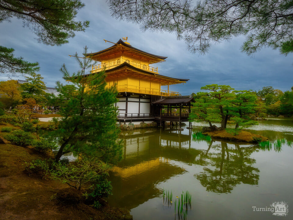 Golden Pavilion Reflecting on the Lake