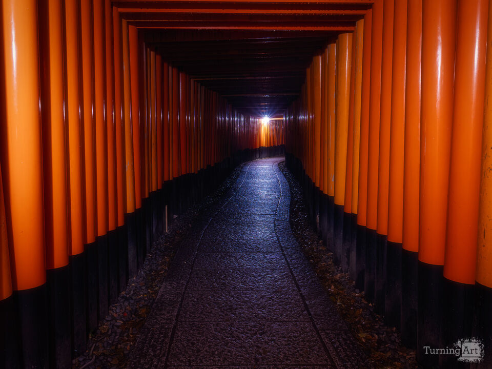 Fushimi Inari Torii Gates at Night