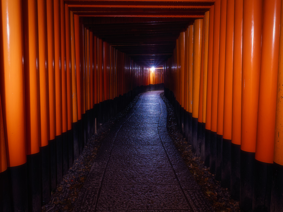 Fushimi Inari Torii Gates at Night