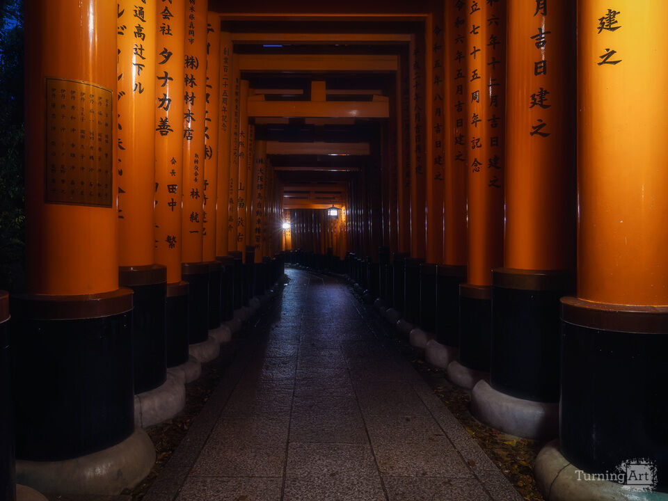 Fushimi Inari Torii Gates at Night