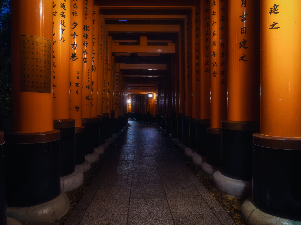 Fushimi Inari Torii Gates at Night