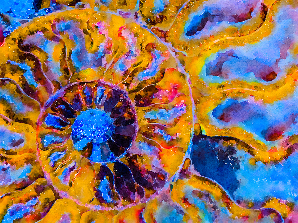 Ammonite Fossil Detail Watercolor