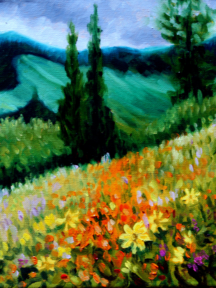 Storm over the wildflowers