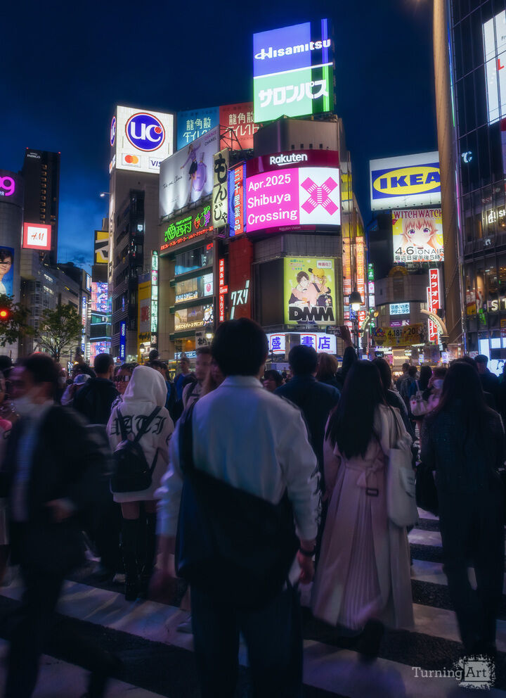 Shibuya Crosswalk Shadows