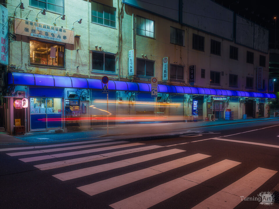 Tokyo Night Under Dappled Light