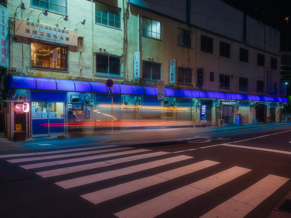 Tokyo Night Under Dappled Light
