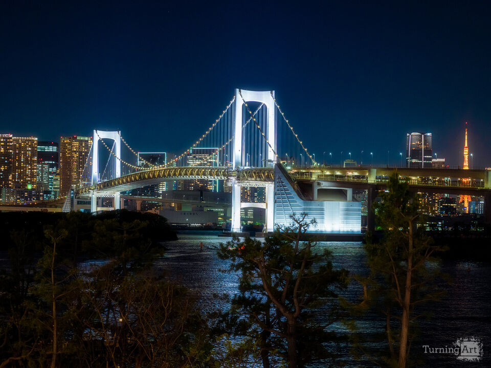 Odaiba Backstreet Wires