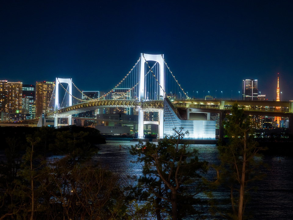 Odaiba Backstreet Wires