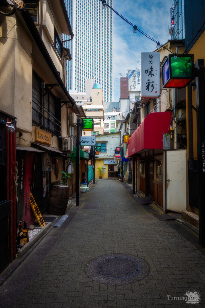 Hidden Alley in Tokyo