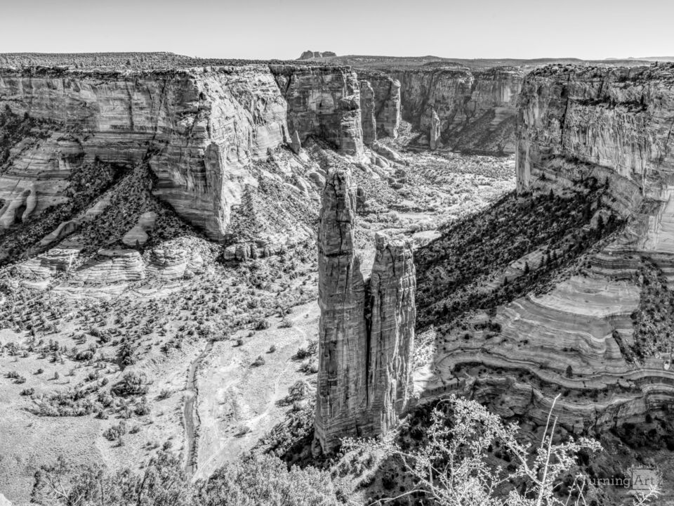 Spider Rock Arizona Grayscale