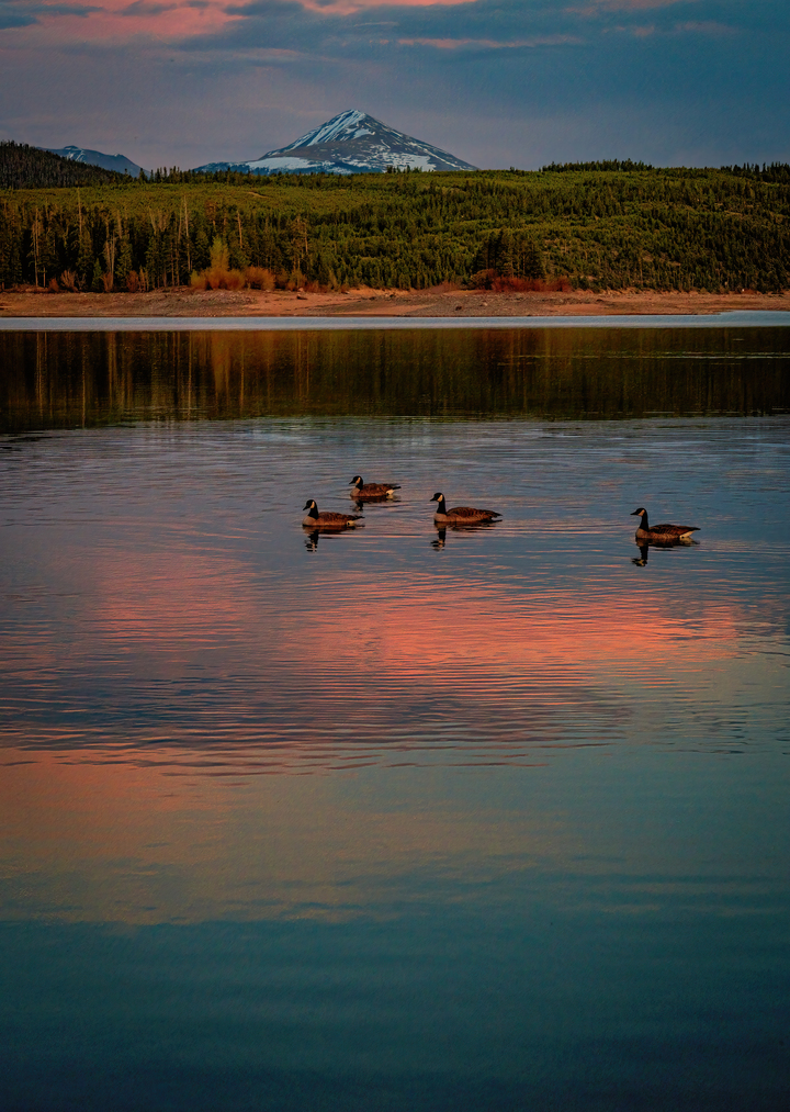 Silent Sunset Glide