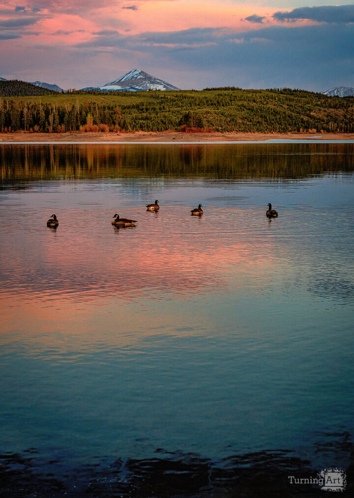 Floating in the Twilight