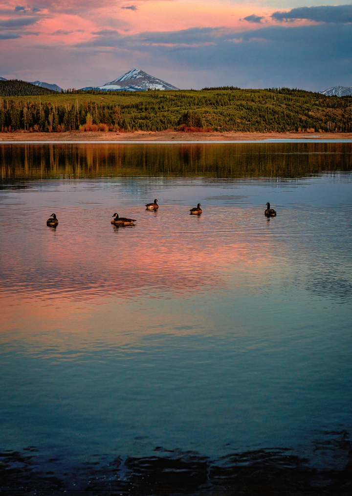 Floating in the Twilight