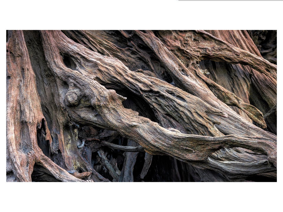 Perpetually Petrified