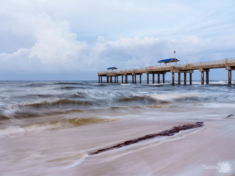 Driftwood Dawn At Orange Beach