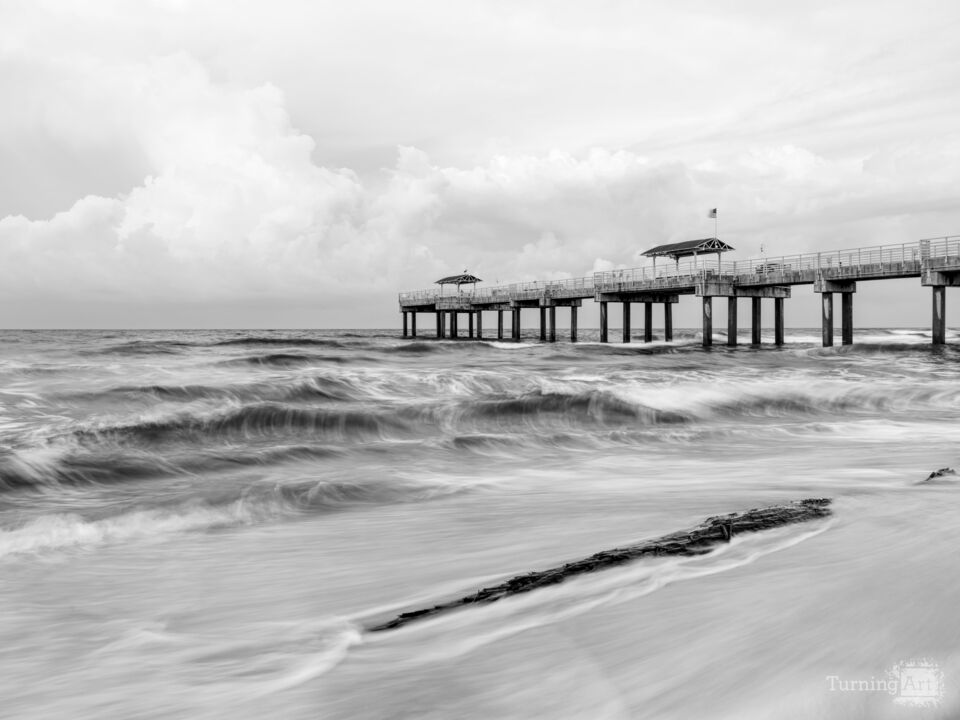 Driftwood Dawn At Orange Beach Grayscale