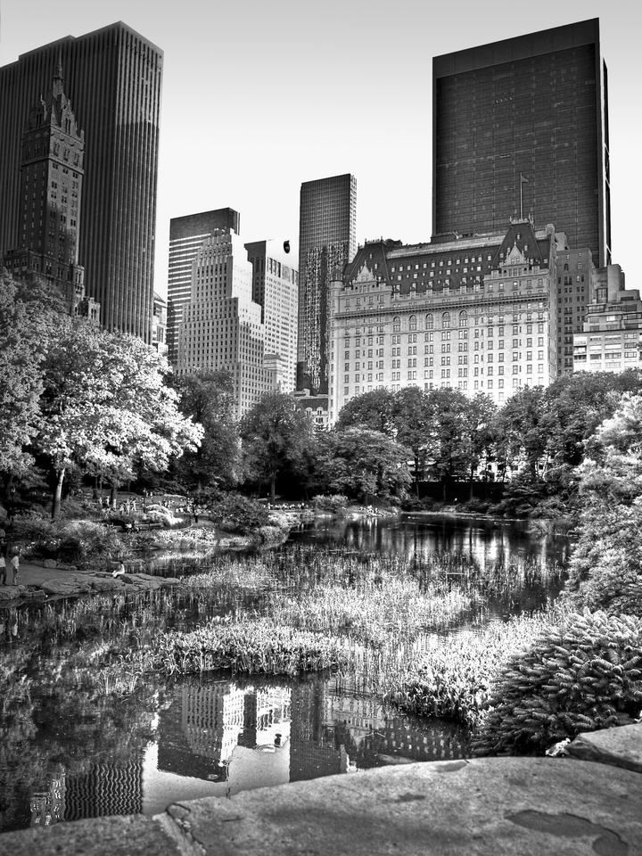 The Pond & 5th Ave. New York City
