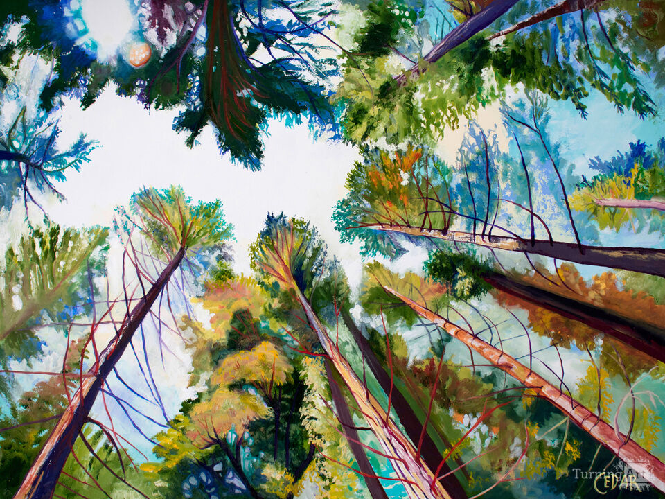 A Soft Enchanting Forest