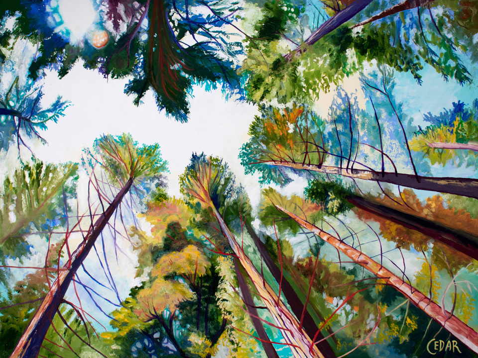 A Soft Enchanting Forest