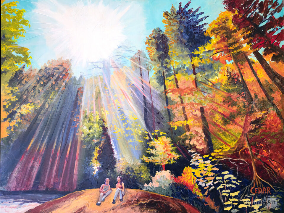 Friday in the Rainbow Forest