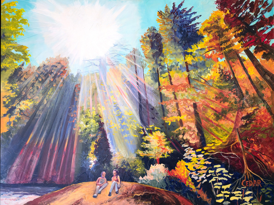 Friday in the Rainbow Forest