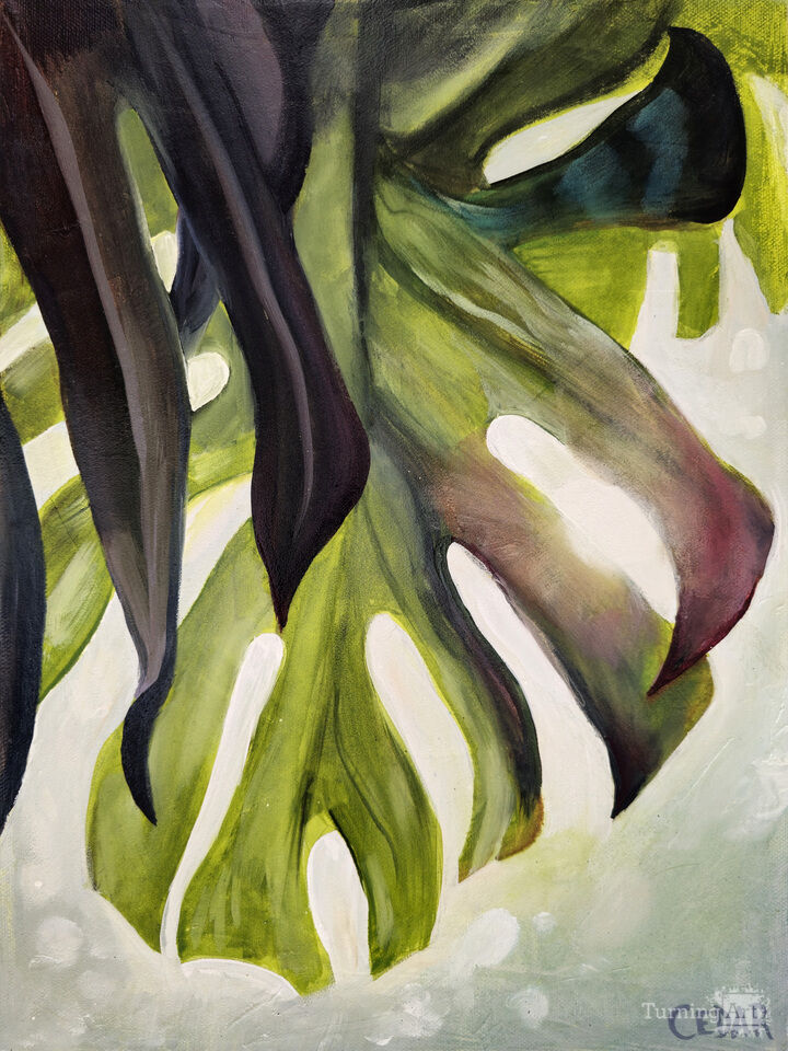 Monstera Leaf and Sun