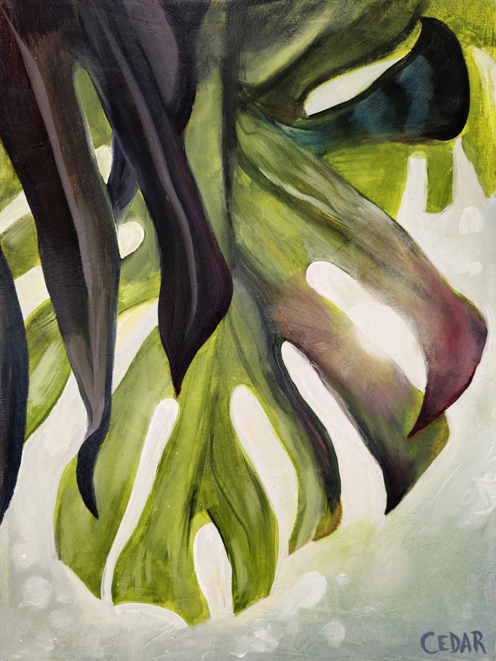 Monstera Leaf and Sun