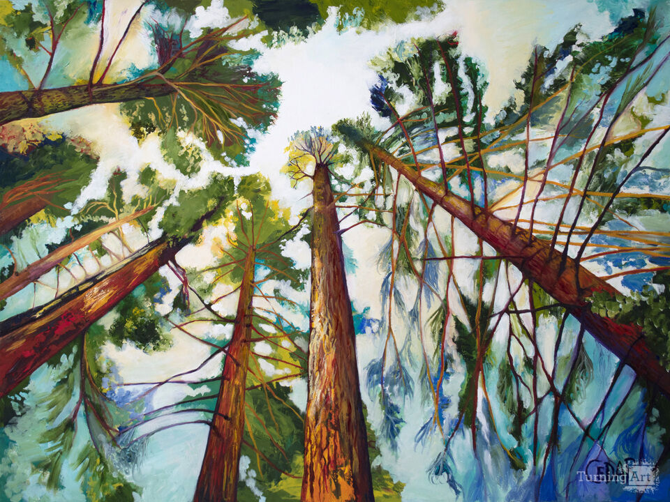 Reach Boldly Into Sunny Skies