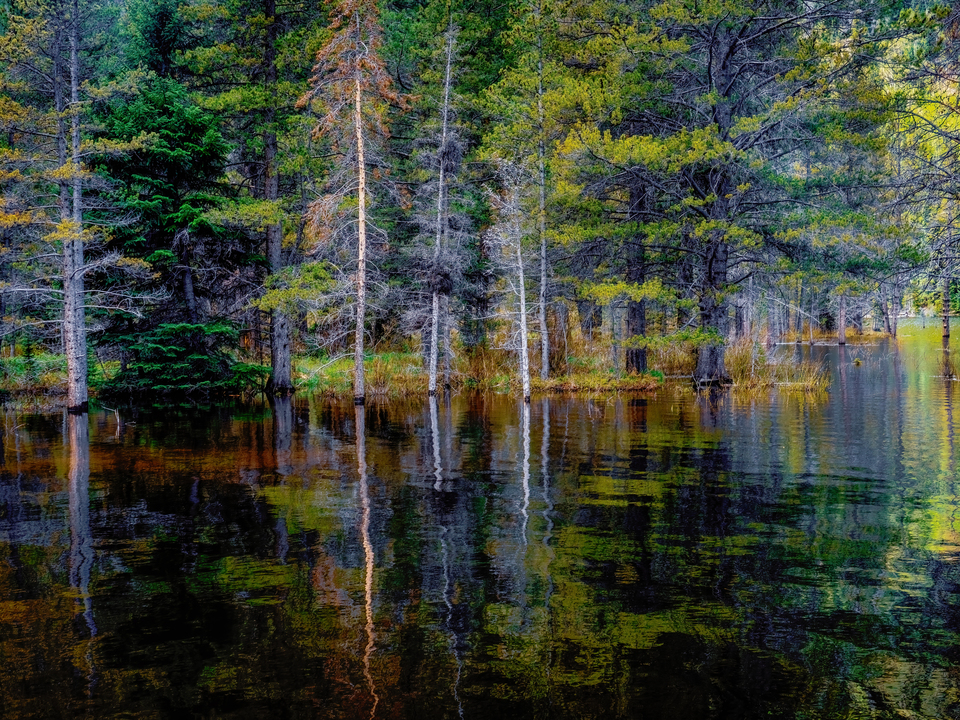 A Mirror of Shadows