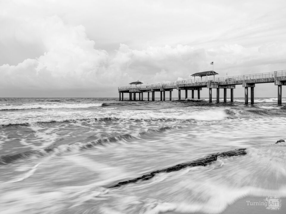 Orange Beach Waves Around Log Grayscale