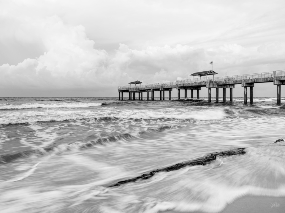Orange Beach Waves Around Log Grayscale