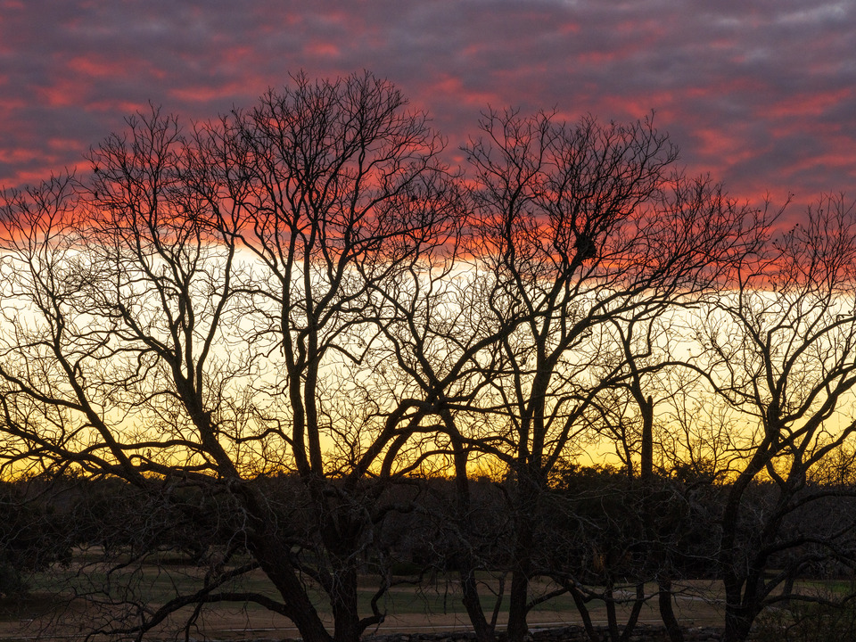 Dramatic sunset through the bare trees