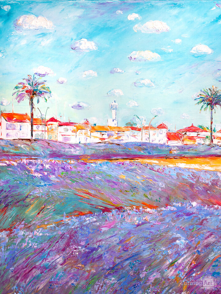 Rosemary Fields of Empuriabrava